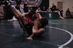 DSC_4112.JPG