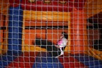 IMG_6992.JPG