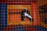 IMG_6993.JPG